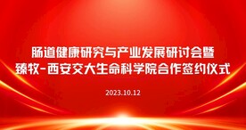 红色质感高级展会大会海报
