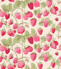 浆果设计无缝图案背景