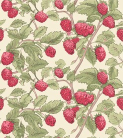 浆果设计无缝图案背景