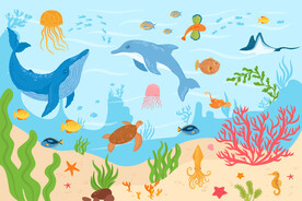 卡通海豚鲸鱼海底珊瑚热带鱼背景