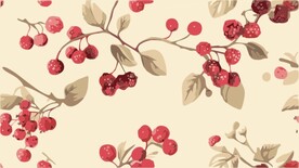 浆果设计无缝图案背景