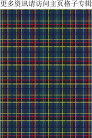 格子面料 男装格子