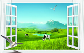 窗户 草原