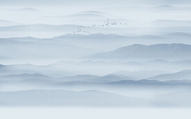 禅意水墨山水图