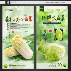 黄白菜