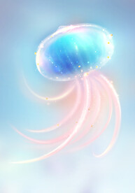 插画水母