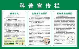 林长制