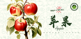 苹果