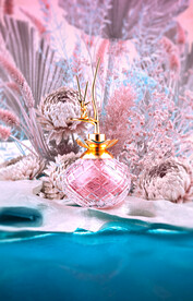 c4d场景梦幻森林工程oc渲染