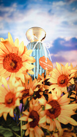 c4d场景菊花香水oc渲染