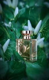 c4d场景植物男士香水工程oc