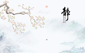 宁静致远背景墙