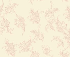 腰果花  名字风