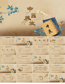 古典中医养生文化工作总结PPT