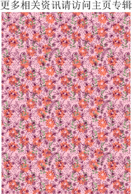 花卉花朵图案  服装印花