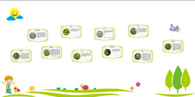 多肉植物形象墙