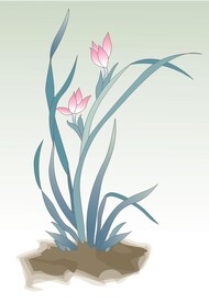 兰草矢量图