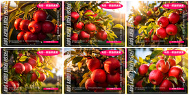 苹果红富士海报