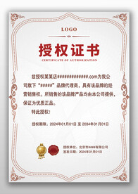 褐色边框银灰底纹网络授权证书