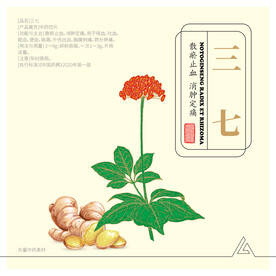 中药素材