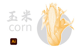 玉米插画