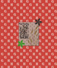 大牌 女装 数码印花