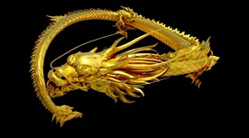 龙