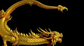 龙