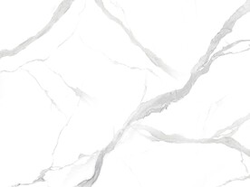 新品 简奢新爵士白 TiF合层