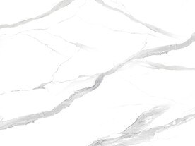 最新 简奢新爵士白 TiF合层