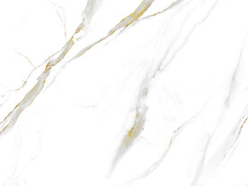 新款 简奢新爵士白 TIF合层