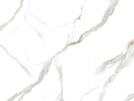 现代 简奢新爵士白 TiF合层