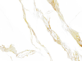 高档 中式新鱼肚白 TiF合层