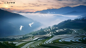 水墨山水梯田