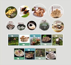 菌类图片灯箱