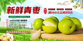 新鲜青枣水果展板