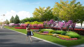  道路绿化效果图