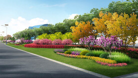 绿化种植效果图 