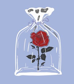 透明袋玫瑰花