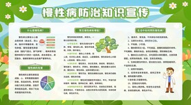 预防防治慢性病健康教育宣传栏