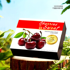樱桃包装 