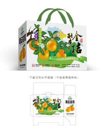 金桔包装