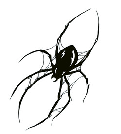 蜘蛛矢量图案