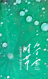 谷雨简约大气海报