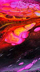 粉色流体渐变科技线条背景