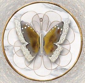 3D蝴蝶装饰无框画