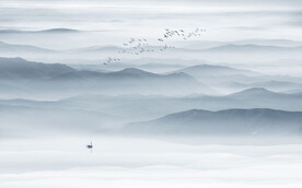 新中式水墨画壁纸