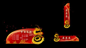 节目条 字幕条 人名条