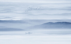 空灵意境山水风景蓝色写意背景墙