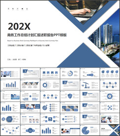 商务工作总结汇报PPT